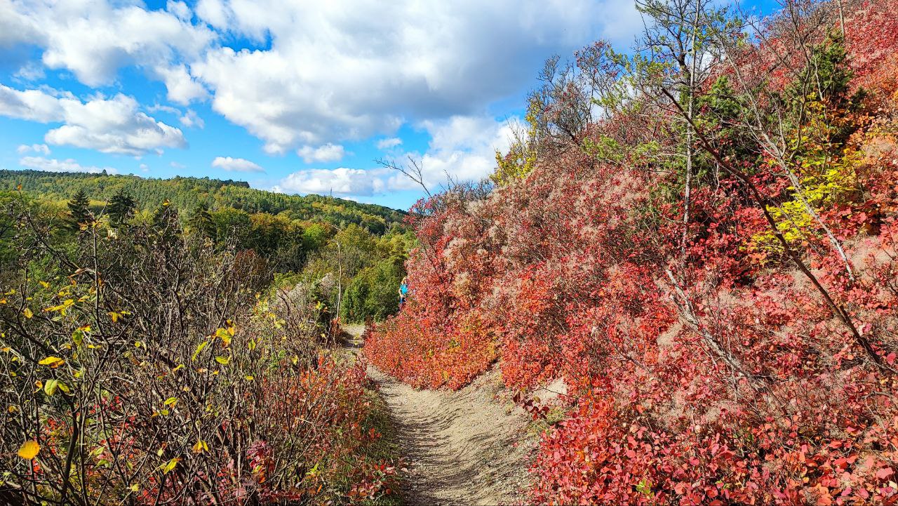 Narrow routes at Perückenstreucher. It is the most beautiful in October