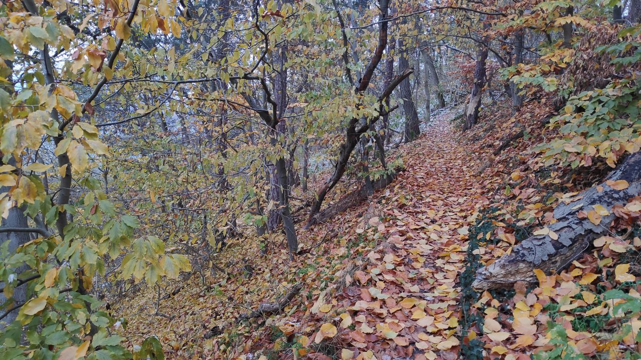 Route photo 3